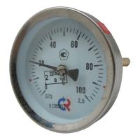 Термометр осевой биметаллический показывающий БТ-31.211(0...100°C)G½.100.2,5